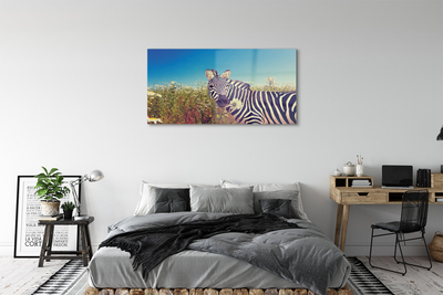 Quadro vetro acrilico Fiori zebra