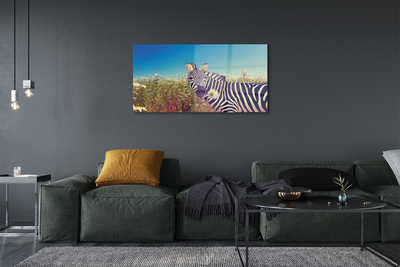 Quadro vetro acrilico Fiori zebra