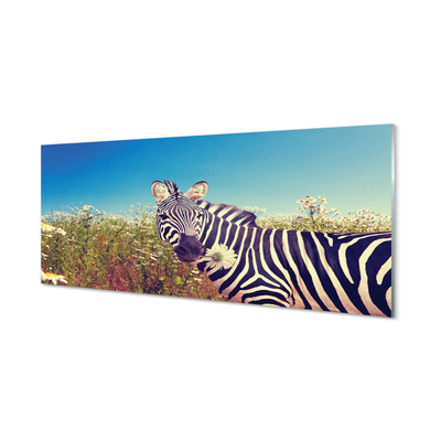 Quadro vetro acrilico Fiori zebra