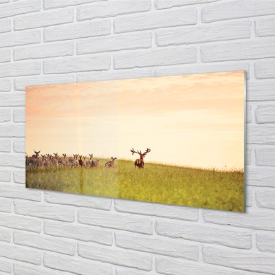 Quadro in vetro acrilico Herd Deer Field Sunrise