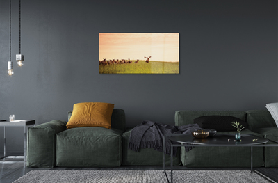 Quadro in vetro acrilico Herd Deer Field Sunrise