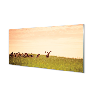 Quadro in vetro acrilico Herd Deer Field Sunrise