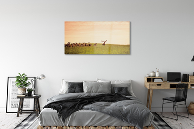 Quadro in vetro acrilico Herd Deer Field Sunrise