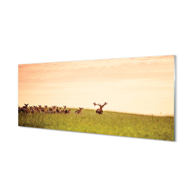 Quadro in vetro acrilico Herd Deer Field Sunrise