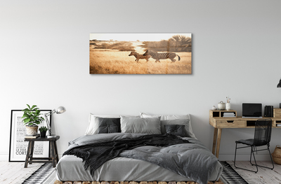 Quadro acrilico Zebra Field Sunset