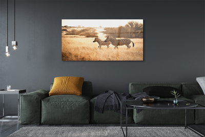 Quadro acrilico Zebra Field Sunset