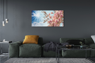 Quadro acrilico Magnolia Sky Sun