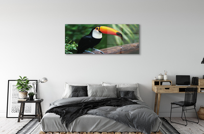 Quadro acrilico Tucan su un ramo