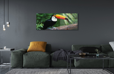 Quadro acrilico Tucan su un ramo