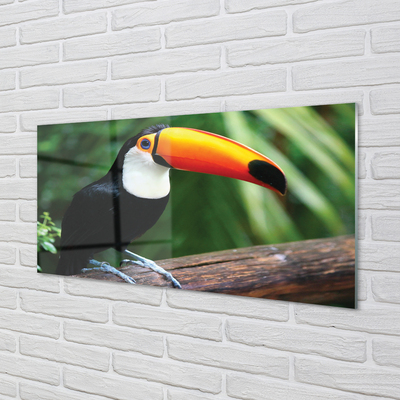 Quadro acrilico Tucan su un ramo