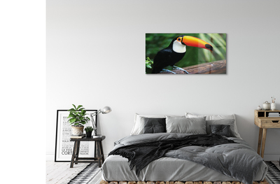 Quadro acrilico Tucan su un ramo