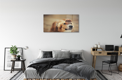 Quadro acrilico Cupcake per cani