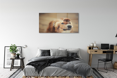 Quadro acrilico Cupcake per cani