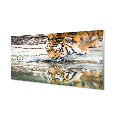 Quadro acrilico Bere tigre