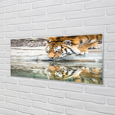 Quadro acrilico Bere tigre