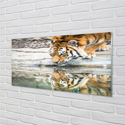 Quadro acrilico Bere tigre