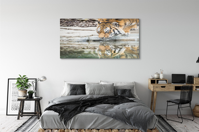 Quadro acrilico Bere tigre