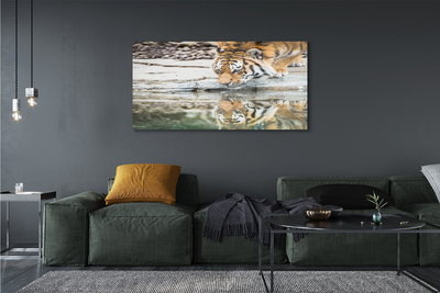 Quadro acrilico Bere tigre