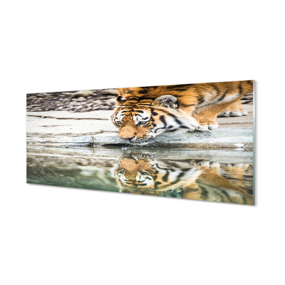 Quadro acrilico Bere tigre