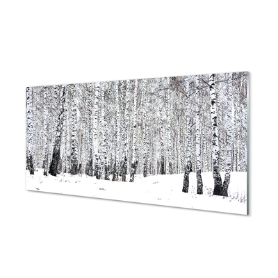 Quadro vetro acrilico Alberi di neve invernali