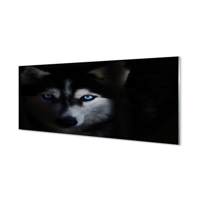 Quadro acrilico Eyes Wolf