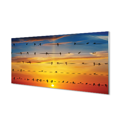 Quadro acrilico Uccelli sul tramonto delle corde