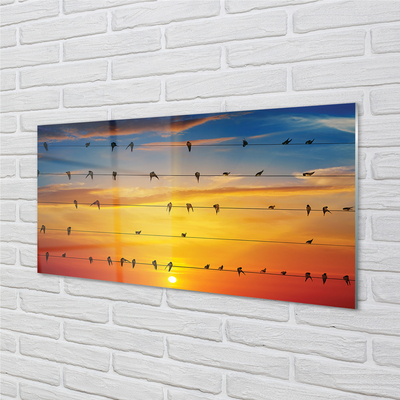 Quadro acrilico Uccelli sul tramonto delle corde