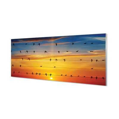 Quadro acrilico Uccelli sul tramonto delle corde
