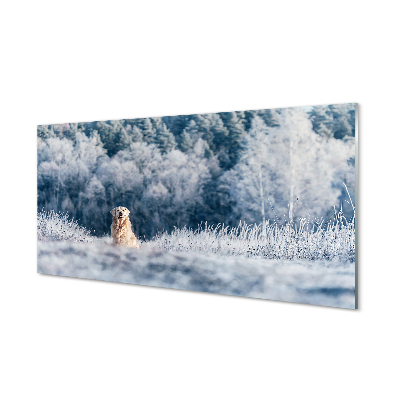 Quadro acrilico Dog Mountain Winter