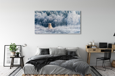 Quadro acrilico Dog Mountain Winter