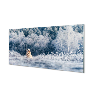 Quadro acrilico Dog Mountain Winter