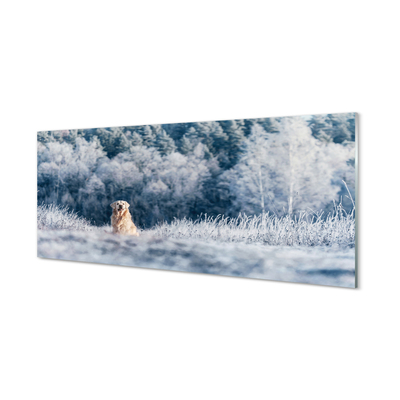 Quadro acrilico Dog Mountain Winter