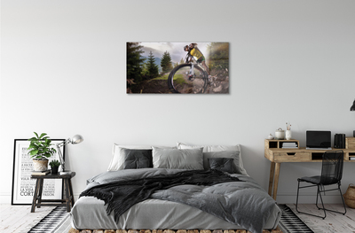 Quadro in vetro acrilico Nuvole di mountain bike