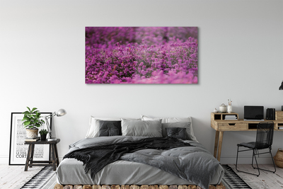 Quadro vetro acrilico Campo heather