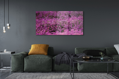 Quadro vetro acrilico Campo heather