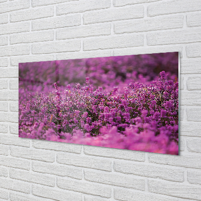 Quadro vetro acrilico Campo heather