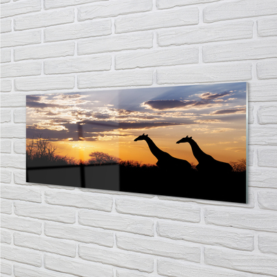 Quadro in vetro acrilico Cloud Trees Giraffe