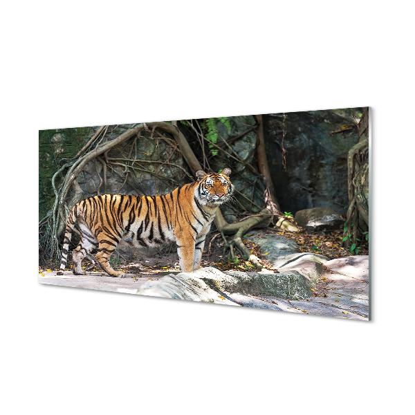 Quadro su vetro acrilico Jungle Tiger