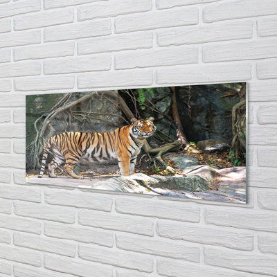 Quadro su vetro acrilico Jungle Tiger