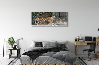 Quadro su vetro acrilico Jungle Tiger