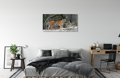 Quadro su vetro acrilico Jungle Tiger