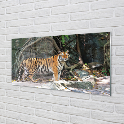 Quadro su vetro acrilico Jungle Tiger