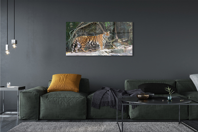 Quadro su vetro acrilico Jungle Tiger