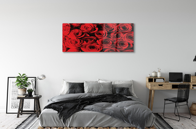 Quadro vetro acrilico Rose