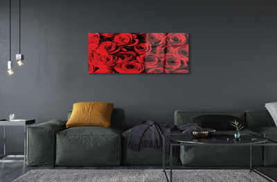 Quadro vetro acrilico Rose