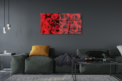 Quadro vetro acrilico Rose