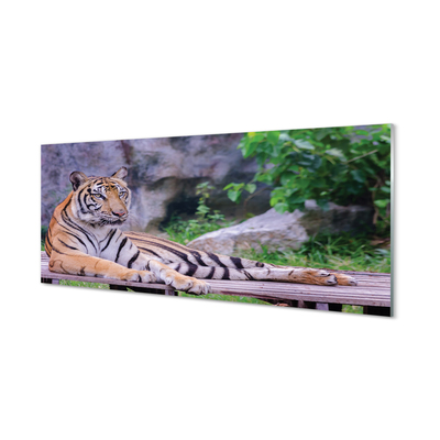 Quadro vetro acrilico Tigre nello zoo