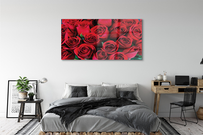 Quadro acrilico Rose