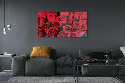 Quadro acrilico Rose