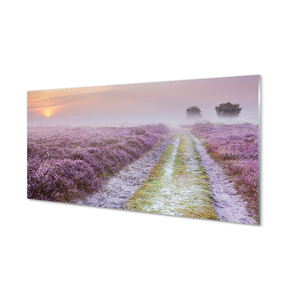 Quadro su vetro acrilico Campo heather